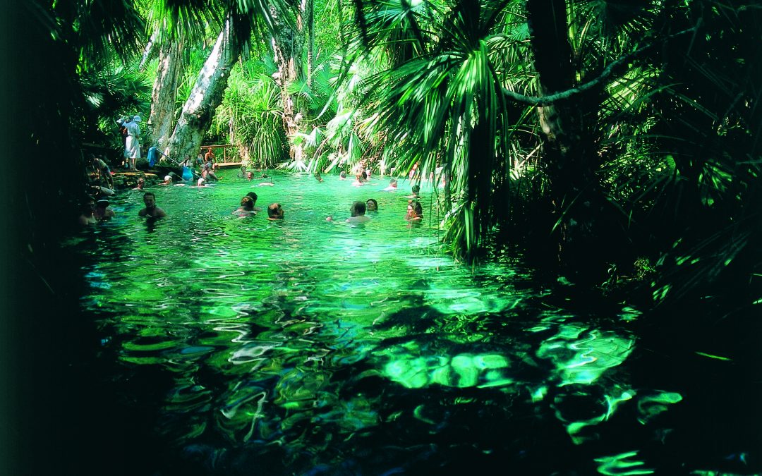 Mataranka Thermal Pools