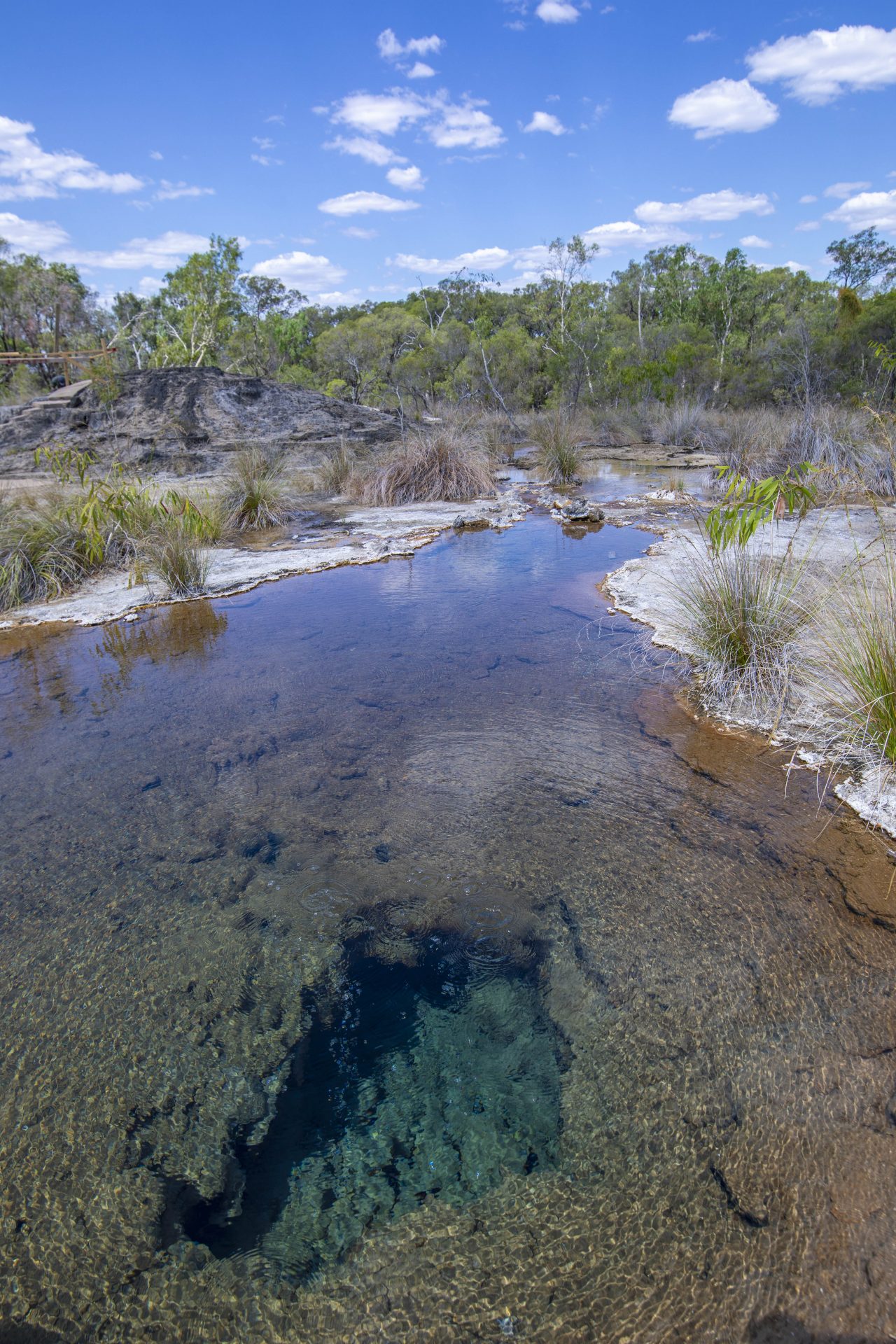 Talaroo Hot Springs The Savannah Way